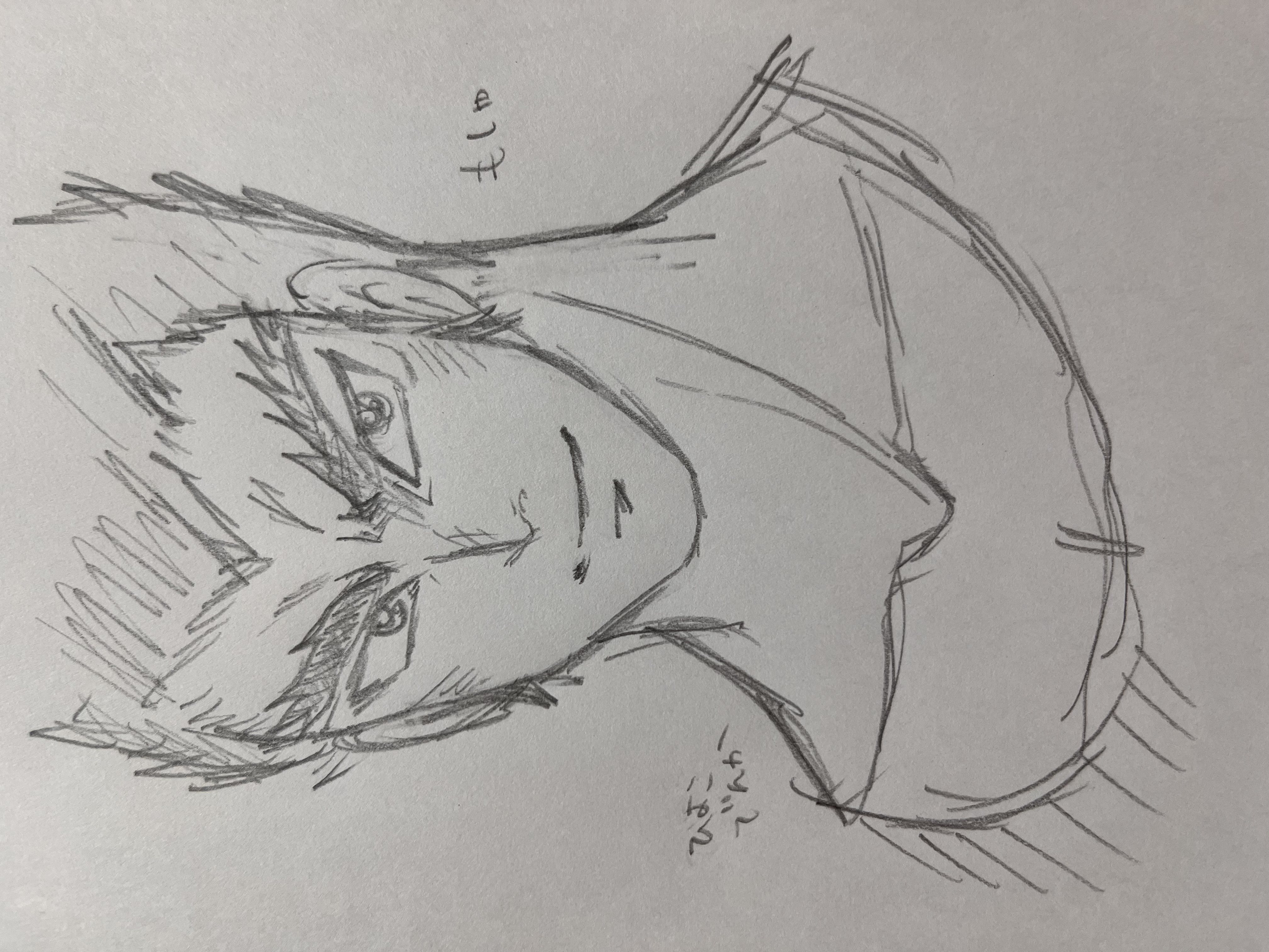 20260920235948-hiyokodenka.jpeg